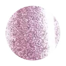 WSPT JAPAN トルタ オーナメントコフレ 3g OC002