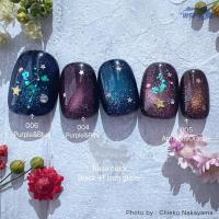 WSPT JAPAN なかやまちえこ先生監修 オーロラマグ 7ml 6色セット GE61122