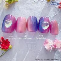 WSPT JAPAN なかやまちえこ先生監修 オーロラマグ 7ml 6色セット GE61122