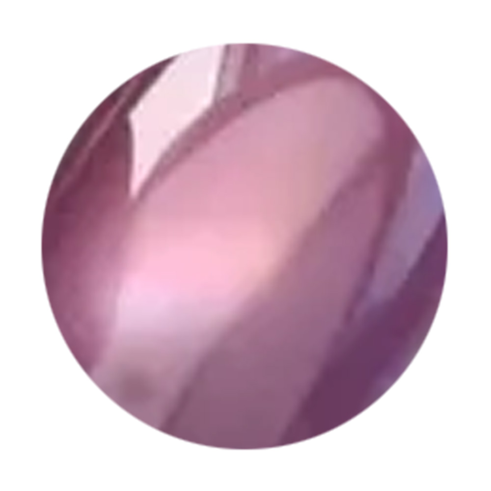 WSPT JAPAN なかやまちえこ先生監修 オーロラマグ 7ml 04パープル&ピンク