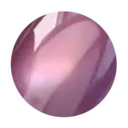 WSPT JAPAN なかやまちえこ先生監修 オーロラマグ 7ml 04パープル&ピンク