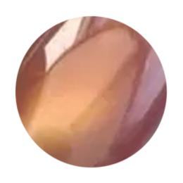 WSPT JAPAN なかやまちえこ先生監修 オーロラマグ 7ml 05アプリコット&オレンジ