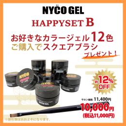 ●【新春】NYCOGEL HAPPYSET B(選べる12色+プレゼント)