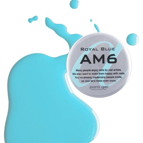 para gel アートカラージェル 4g AM6 ロイヤルブルー
