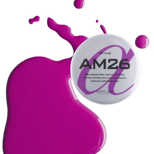 para gel アートカラージェル 4g AM26 ワイン