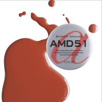 para gel カラージェル 4g AMD51 ジンジャーオレンジ