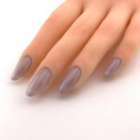 para gel カラージェル 4g LC10 ムーングレー