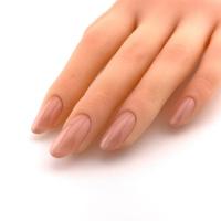 para gel カラージェル 4g LC13 チークベージュ
