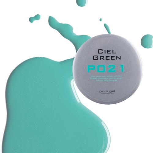 para gel カラージェル 4g P021 シエルグリーン