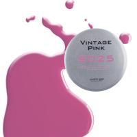 para gel カラージェル 4g S025 ヴィンテージピンク