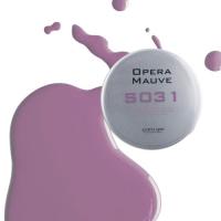 para gel カラージェル 4g S031 オペラモーヴ