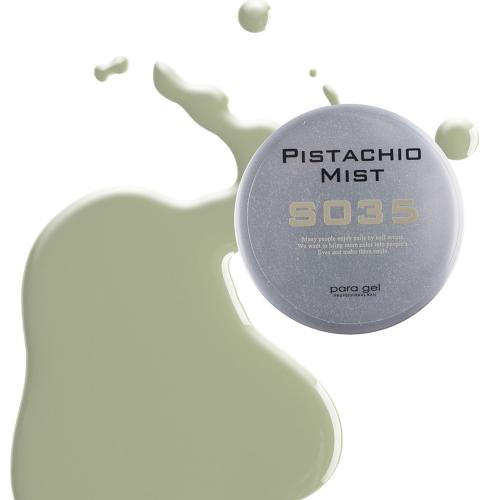 para gel カラージェル 4g S035 ピスタチオミスト