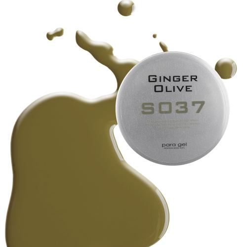 para gel カラージェル 4g S037 ジンジャーオリーブ