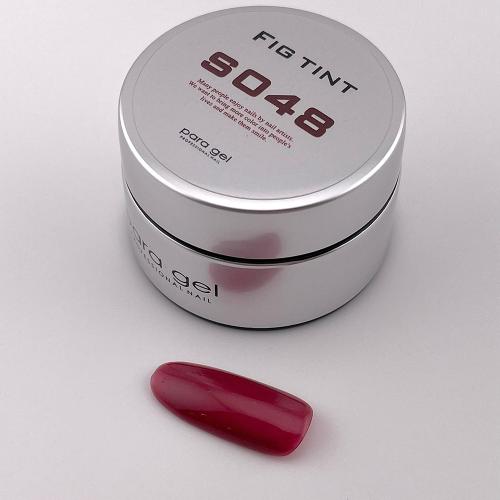 para gel カラージェル 4g S048 フィグティント