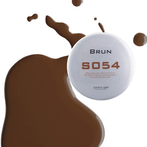 para gel カラージェル 4g S054 ブラン