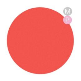 Bio カラージェル 4.5g #16 サンセットシマー【在庫限り】