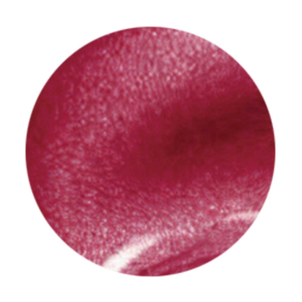 WSPT JAPAN トルタ ルージュ コンテナタイプ 3g rc003