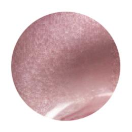 WSPT JAPAN トルタ ルージュ コンテナタイプ 3g rc004