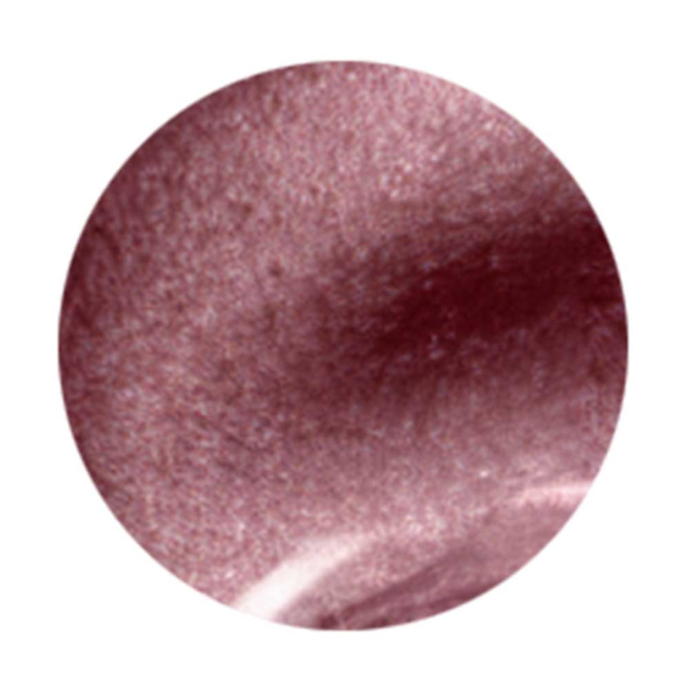 WSPT JAPAN トルタ ルージュ コンテナタイプ 3g rc005