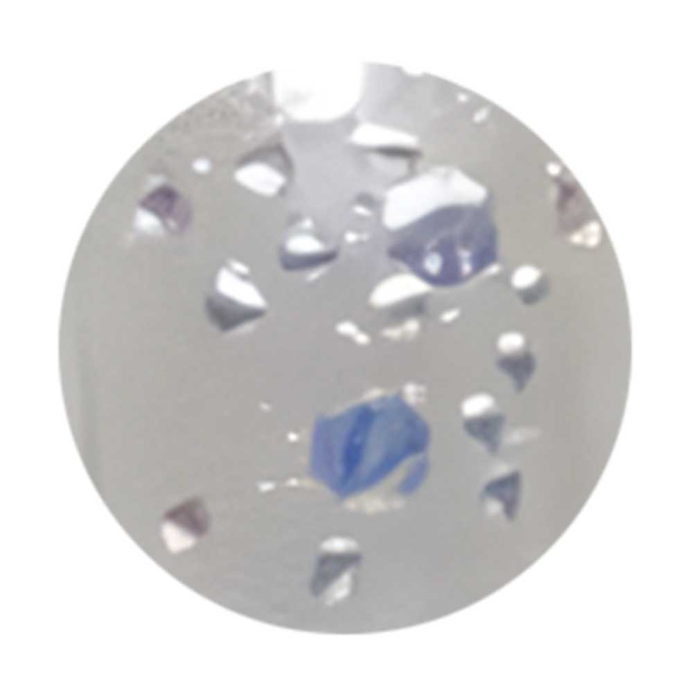 WSPT JAPAN トルタ グリッター type1 G001