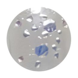 WSPT JAPAN トルタ グリッター type1 G001