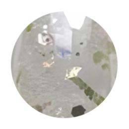 WSPT JAPAN トルタ グリッター type2 G005