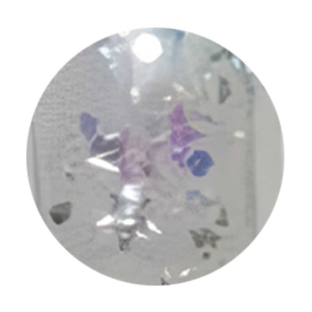 WSPT JAPAN トルタ グリッター type3 G011