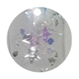 WSPT JAPAN トルタ グリッター type3 G011