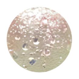 WSPT JAPAN トルタ グリッター type4 G013