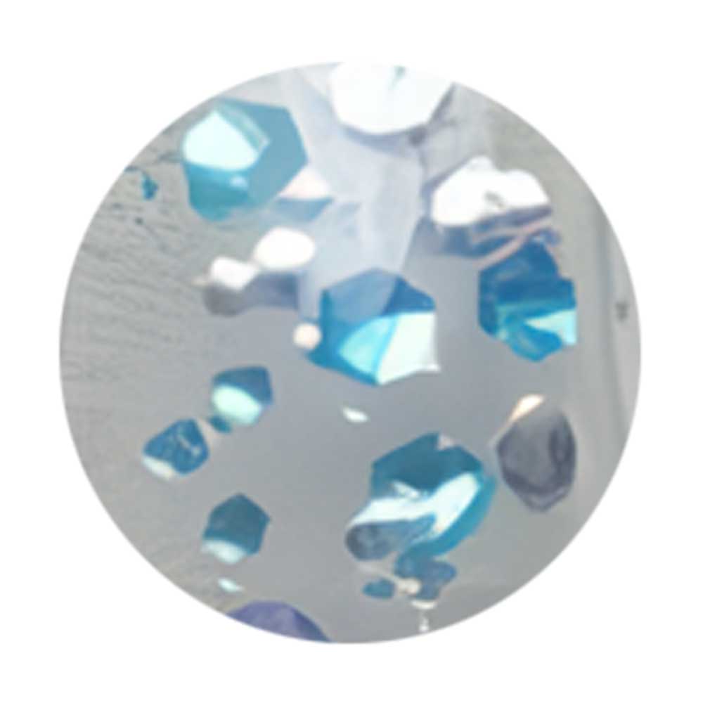 WSPT JAPAN トルタ グリッター type1 G004