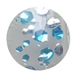 WSPT JAPAN トルタ グリッター type1 G004