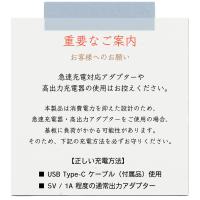 Krimth AI スティックライト プロ プラス