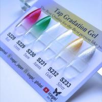 ICE GEL ジェントロン タップグラデーションジェル パール 2g S233 シルバー