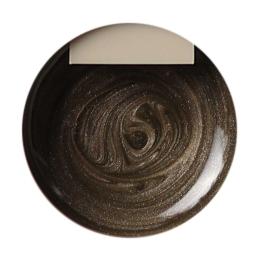 rieugel tocar マグネットジェル 2.5g N50 ガティココ