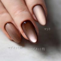 rieugel tocar マグネットジェル 2.5g N51 ガティブロ