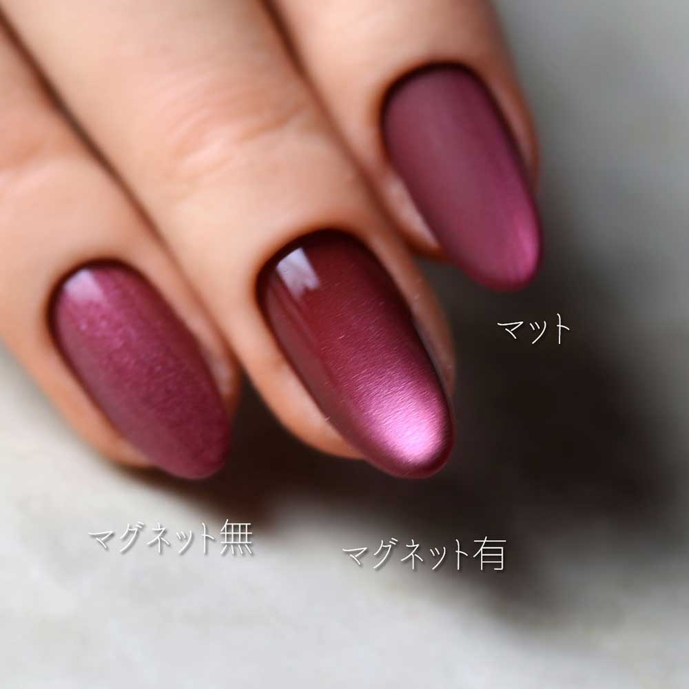 rieugel tocar マグネットジェル 2.5g N53 ガティボル