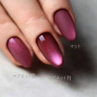 rieugel tocar マグネットジェル 2.5g N53 ガティボル