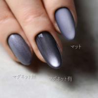 rieugel tocar マグネットジェル 2.5g N54 ガティネイ