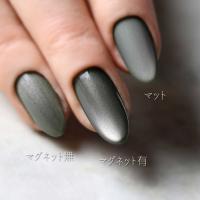 rieugel tocar マグネットジェル 2.5g N55 ガティリョク