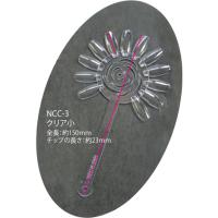 BEAUTY NAILER ネイルカラーチャート クリア小 NCC-3