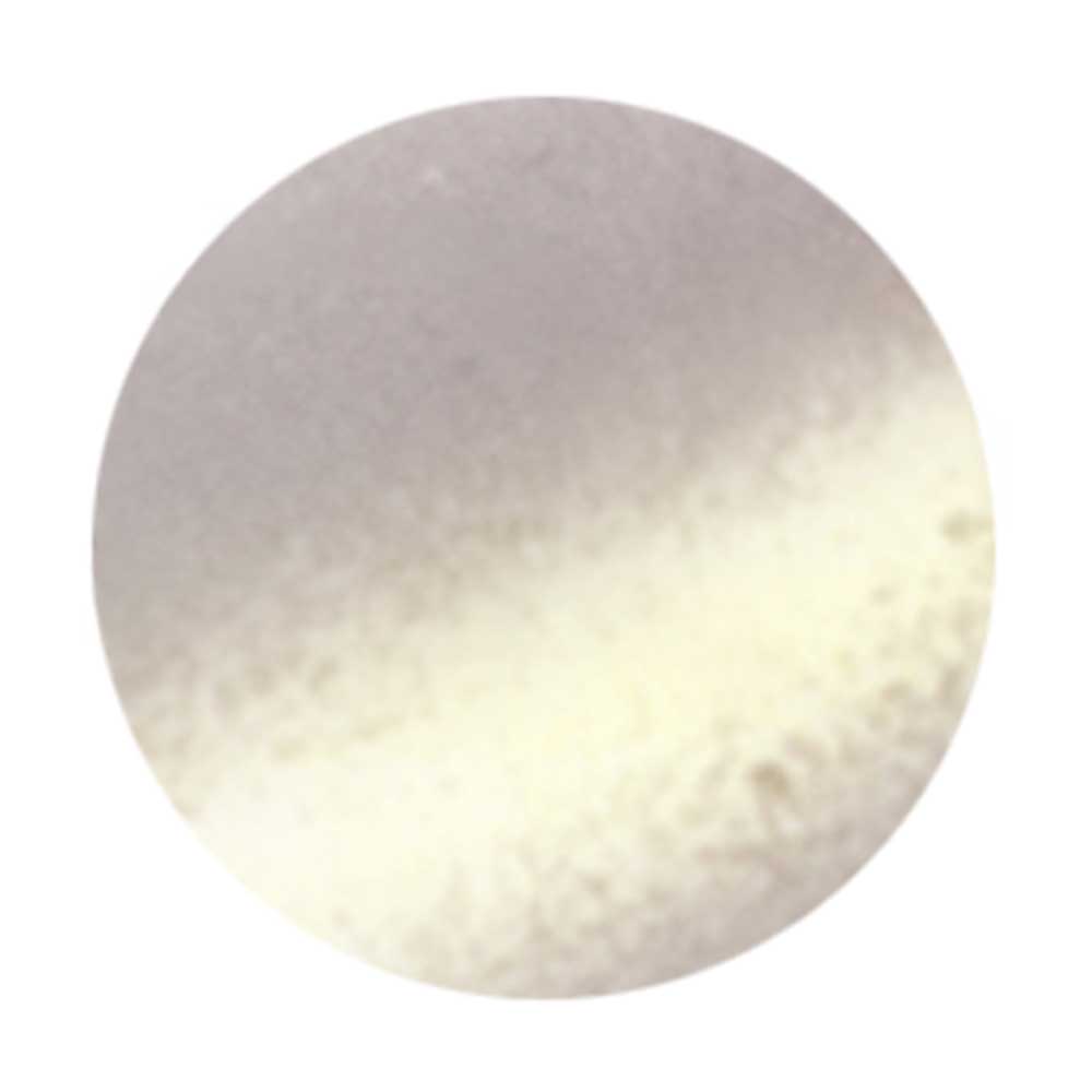 BONii ボ二 マグネット キャンディシリーズ 8g MG01 ジンジャー