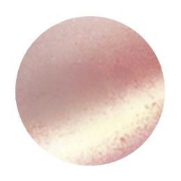 BONii ボ二 マグネット キャンディシリーズ 8g MG05 プラム