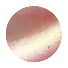 BONii ボ二 マグネット キャンディシリーズ 8g MG06 フィグ