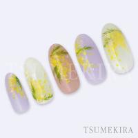 ツメキラ 平山愛プロデュース ミモザガーデン NN-HIR-002