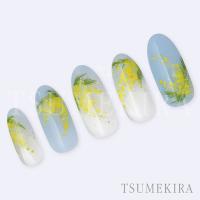 ツメキラ 平山愛プロデュース ミモザガーデン NN-HIR-002