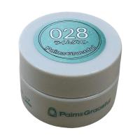 Palms Graceful カラージェル 3g 028 ライムダスト