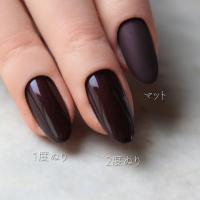 rieugel カラージェル 2.5g 062 ダークココア