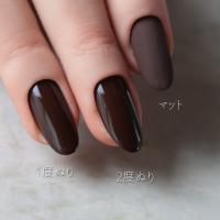 rieugel カラージェル 2.5g 064 リッチチョコレート