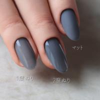 rieugel カラージェル 2.5g 079 シアーグレー