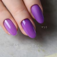 rieugel tocar カラージェル 2.5g L435 パンチャパープル